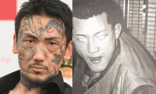 做卵巢的功效网 - 做卵巢的功效有哪些,做卵巢保养的好处和功效
