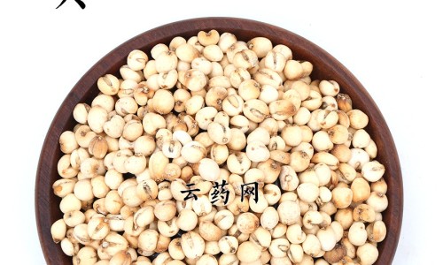 做卵巢的功效网 - 做卵巢的功效有哪些,做卵巢保养的好处和功效